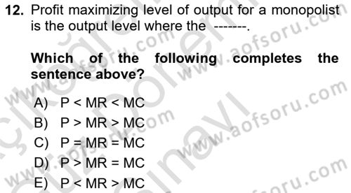 Introduction to Economics 1 Dersi 2021 - 2022 Yılı (Final) Dönem Sonu Sınav Soruları 12. Soru