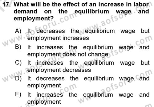 Introduction to Economics 1 Dersi 2021 - 2022 Yılı (Final) Dönem Sonu Sınav Soruları 17. Soru
