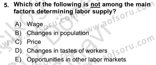 Introduction to Economics 1 Dersi 2021 - 2022 Yılı (Final) Dönem Sonu Sınav Soruları 5. Soru