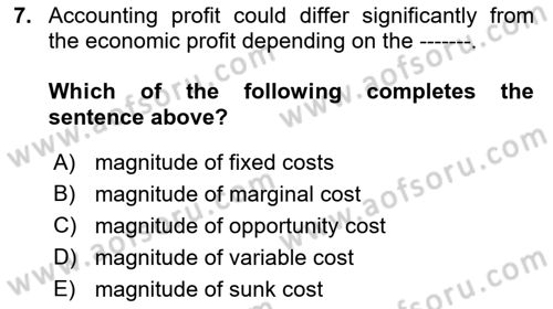 Introduction to Economics 1 Dersi 2021 - 2022 Yılı (Final) Dönem Sonu Sınav Soruları 7. Soru