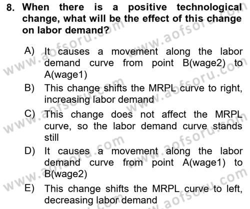 Introduction to Economics 1 Dersi 2021 - 2022 Yılı (Final) Dönem Sonu Sınav Soruları 8. Soru