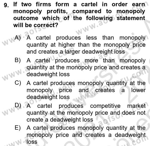 Introduction to Economics 1 Dersi 2021 - 2022 Yılı (Final) Dönem Sonu Sınav Soruları 9. Soru