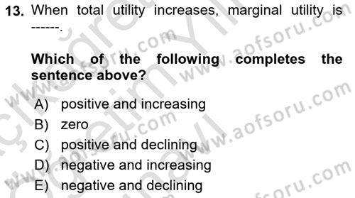 Introduction to Economics 1 Dersi 2021 - 2022 Yılı Yaz Okulu Sınav Soruları 13. Soru