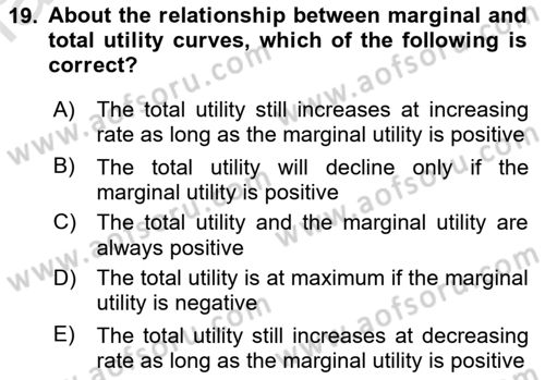 Introduction to Economics 1 Dersi 2021 - 2022 Yılı Yaz Okulu Sınav Soruları 19. Soru