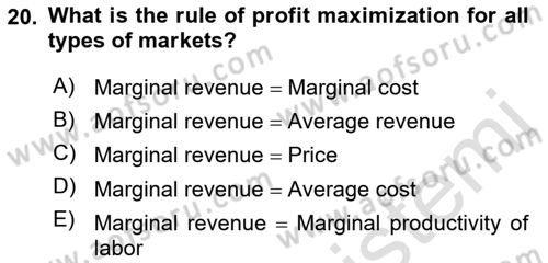 Introduction to Economics 1 Dersi 2021 - 2022 Yılı Yaz Okulu Sınav Soruları 20. Soru