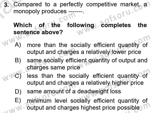 Introduction to Economics 1 Dersi 2021 - 2022 Yılı Yaz Okulu Sınav Soruları 3. Soru