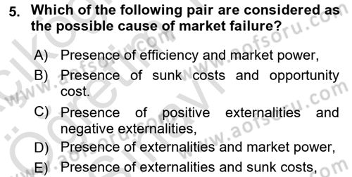 Introduction to Economics 1 Dersi 2021 - 2022 Yılı Yaz Okulu Sınav Soruları 5. Soru