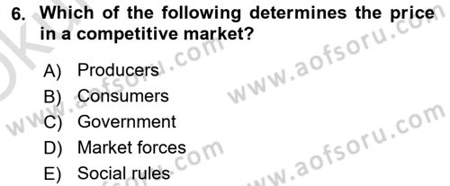 Introduction to Economics 1 Dersi 2021 - 2022 Yılı Yaz Okulu Sınav Soruları 6. Soru
