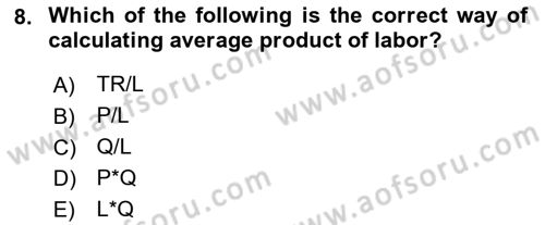 Introduction to Economics 1 Dersi 2021 - 2022 Yılı Yaz Okulu Sınav Soruları 8. Soru