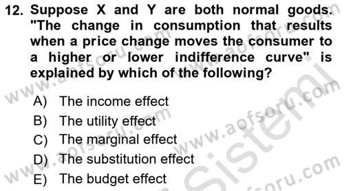 Introduction to Economics 1 Dersi Ara Sınavı Deneme Sınav Soruları 12. Soru