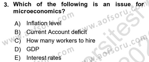 Introduction to Economics 1 Dersi Ara Sınavı Deneme Sınav Soruları 3. Soru