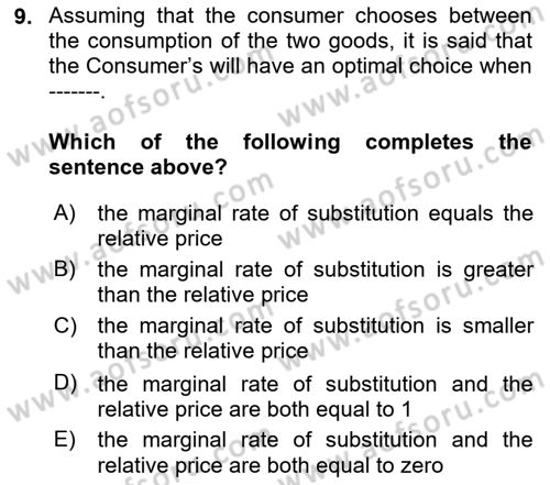 Introduction to Economics 1 Dersi Ara Sınavı Deneme Sınav Soruları 9. Soru