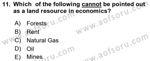 Introduction to Economics 1 Dersi 2022 - 2023 Yılı (Final) Dönem Sonu Sınav Soruları 11. Soru