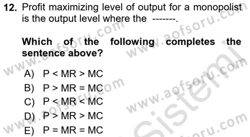 Introduction to Economics 1 Dersi 2022 - 2023 Yılı (Final) Dönem Sonu Sınav Soruları 12. Soru