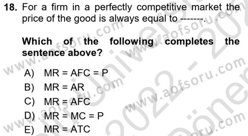 Introduction to Economics 1 Dersi 2022 - 2023 Yılı (Final) Dönem Sonu Sınav Soruları 18. Soru