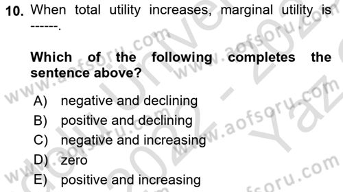 Introduction to Economics 1 Dersi 2022 - 2023 Yılı Yaz Okulu Sınav Soruları 10. Soru