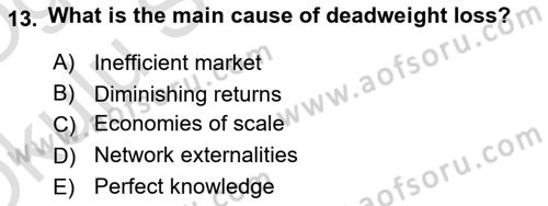 Introduction to Economics 1 Dersi 2022 - 2023 Yılı Yaz Okulu Sınav Soruları 13. Soru