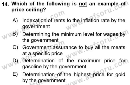 Introduction to Economics 1 Dersi 2022 - 2023 Yılı Yaz Okulu Sınav Soruları 14. Soru