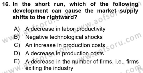 Introduction to Economics 1 Dersi 2022 - 2023 Yılı Yaz Okulu Sınav Soruları 16. Soru