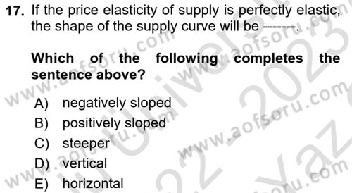 Introduction to Economics 1 Dersi 2022 - 2023 Yılı Yaz Okulu Sınav Soruları 17. Soru