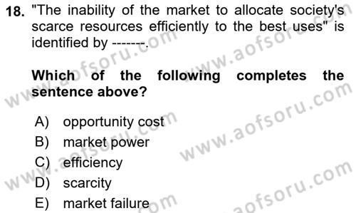 Introduction to Economics 1 Dersi 2022 - 2023 Yılı Yaz Okulu Sınav Soruları 18. Soru