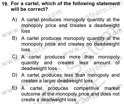 Introduction to Economics 1 Dersi 2022 - 2023 Yılı Yaz Okulu Sınav Soruları 19. Soru