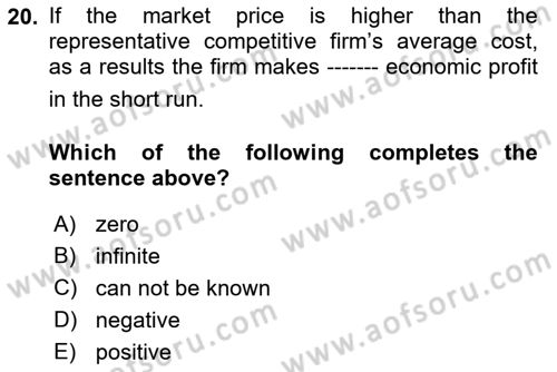 Introduction to Economics 1 Dersi 2022 - 2023 Yılı Yaz Okulu Sınav Soruları 20. Soru