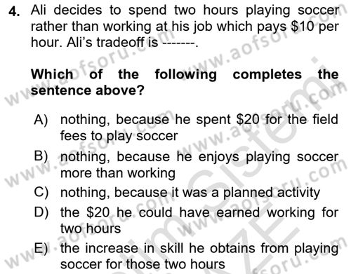 Introduction to Economics 1 Dersi 2022 - 2023 Yılı Yaz Okulu Sınav Soruları 4. Soru