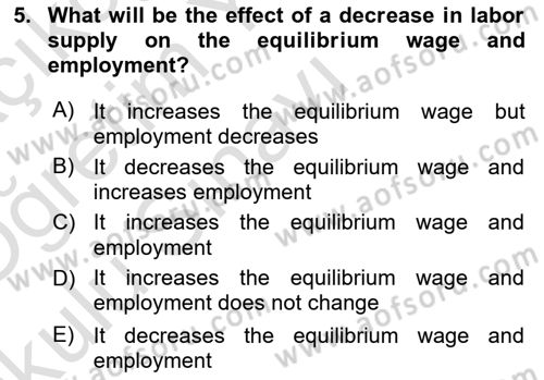 Introduction to Economics 1 Dersi 2022 - 2023 Yılı Yaz Okulu Sınav Soruları 5. Soru