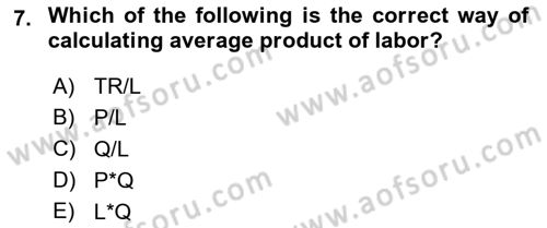 Introduction to Economics 1 Dersi 2022 - 2023 Yılı Yaz Okulu Sınav Soruları 7. Soru