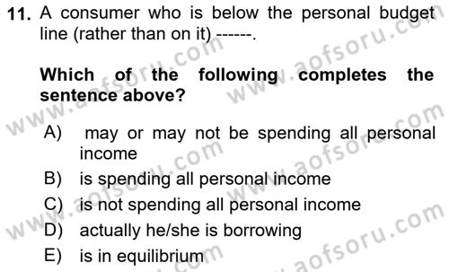 Introduction to Economics 1 Dersi 2023 - 2024 Yılı (Vize) Ara Sınavı 11. Soru