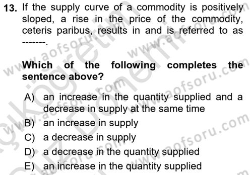 Introduction to Economics 1 Dersi 2023 - 2024 Yılı (Vize) Ara Sınavı 13. Soru