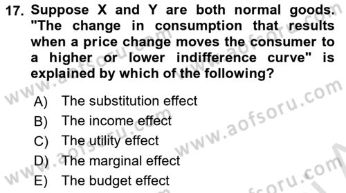 Introduction to Economics 1 Dersi 2023 - 2024 Yılı (Vize) Ara Sınav Soruları 17. Soru