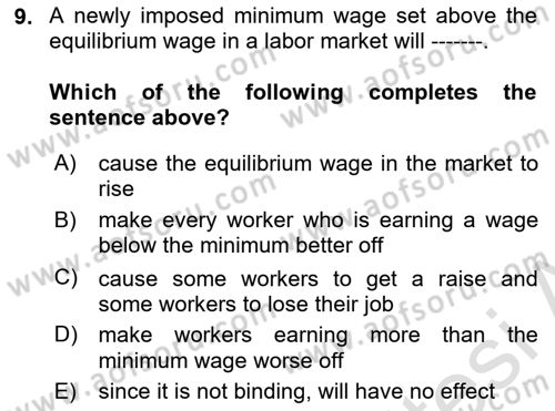 Introduction to Economics 1 Dersi 2023 - 2024 Yılı (Vize) Ara Sınavı 9. Soru