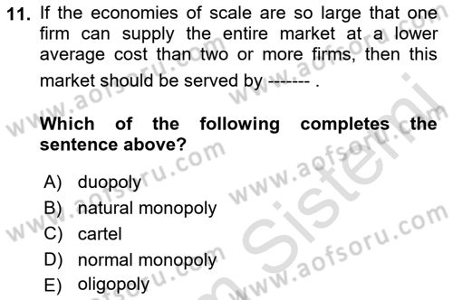 Introduction to Economics 1 Dersi 2023 - 2024 Yılı (Final) Dönem Sonu Sınav Soruları 11. Soru