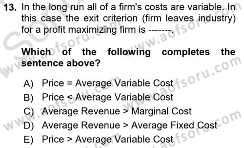 Introduction to Economics 1 Dersi 2023 - 2024 Yılı (Final) Dönem Sonu Sınav Soruları 13. Soru