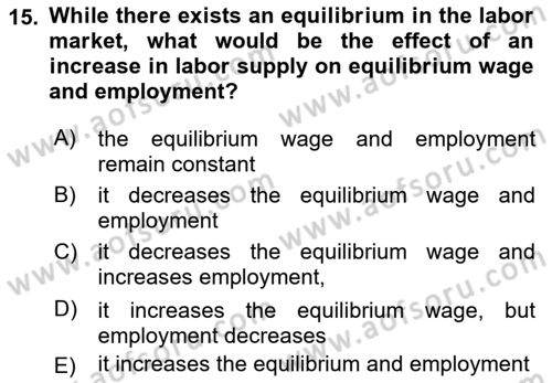 Introduction to Economics 1 Dersi 2023 - 2024 Yılı (Final) Dönem Sonu Sınav Soruları 15. Soru