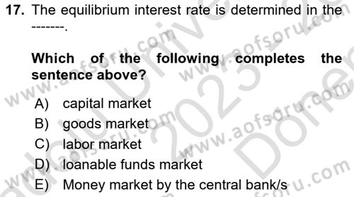Introduction to Economics 1 Dersi 2023 - 2024 Yılı (Final) Dönem Sonu Sınav Soruları 17. Soru