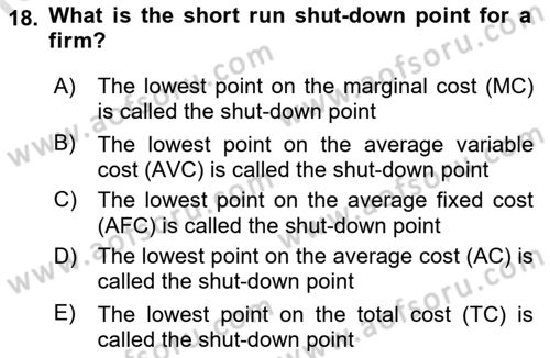 Introduction to Economics 1 Dersi 2023 - 2024 Yılı (Final) Dönem Sonu Sınav Soruları 18. Soru