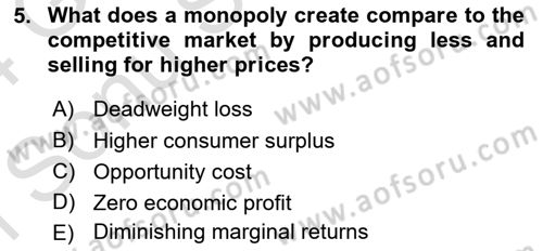 Introduction to Economics 1 Dersi 2023 - 2024 Yılı (Final) Dönem Sonu Sınav Soruları 5. Soru