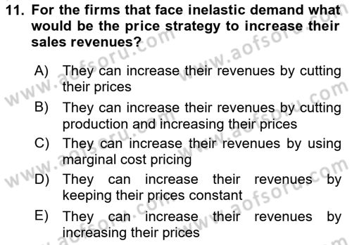 Introduction to Economics 1 Dersi 2023 - 2024 Yılı Yaz Okulu Sınav Soruları 11. Soru