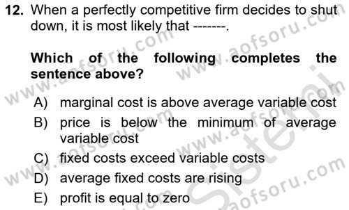 Introduction to Economics 1 Dersi 2023 - 2024 Yılı Yaz Okulu Sınav Soruları 12. Soru