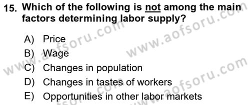 Introduction to Economics 1 Dersi 2023 - 2024 Yılı Yaz Okulu Sınav Soruları 15. Soru