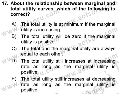Introduction to Economics 1 Dersi 2023 - 2024 Yılı Yaz Okulu Sınav Soruları 17. Soru