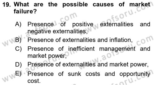 Introduction to Economics 1 Dersi 2023 - 2024 Yılı Yaz Okulu Sınav Soruları 19. Soru
