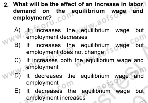 Introduction to Economics 1 Dersi 2023 - 2024 Yılı Yaz Okulu Sınav Soruları 2. Soru
