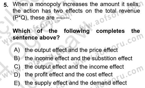 Introduction to Economics 1 Dersi 2023 - 2024 Yılı Yaz Okulu Sınav Soruları 5. Soru
