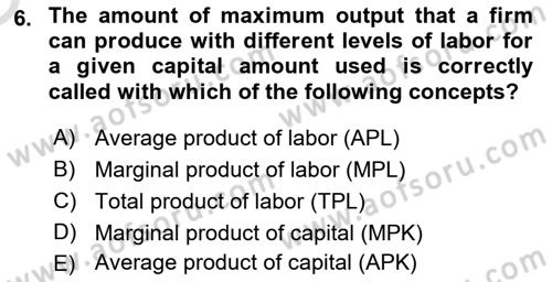 Introduction to Economics 1 Dersi 2023 - 2024 Yılı Yaz Okulu Sınav Soruları 6. Soru