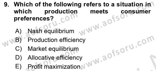 Introduction to Economics 1 Dersi 2023 - 2024 Yılı Yaz Okulu Sınav Soruları 9. Soru