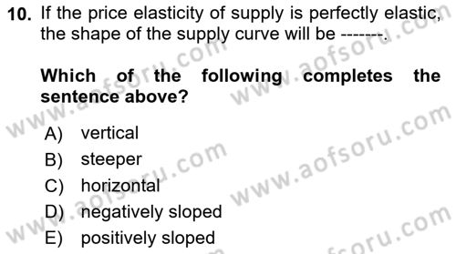 Introduction to Economics 1 Dersi 2024 - 2025 Yılı (Vize) Ara Sınav Soruları 10. Soru